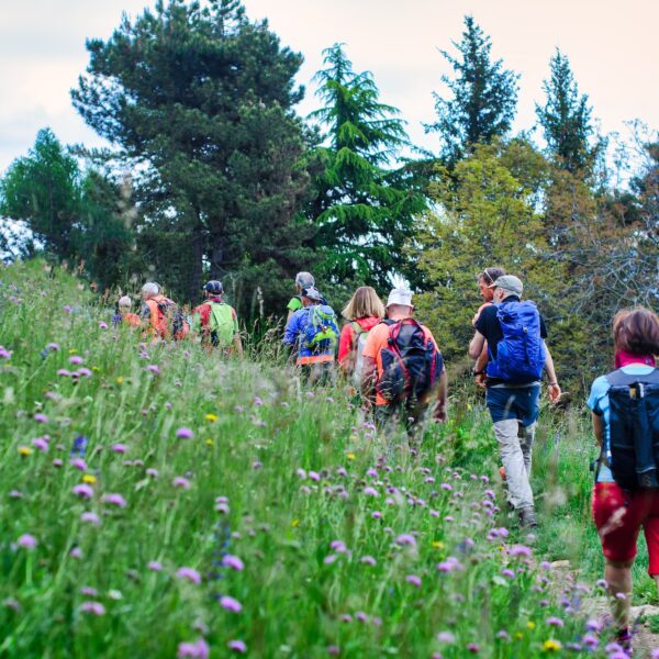 Group of hikers