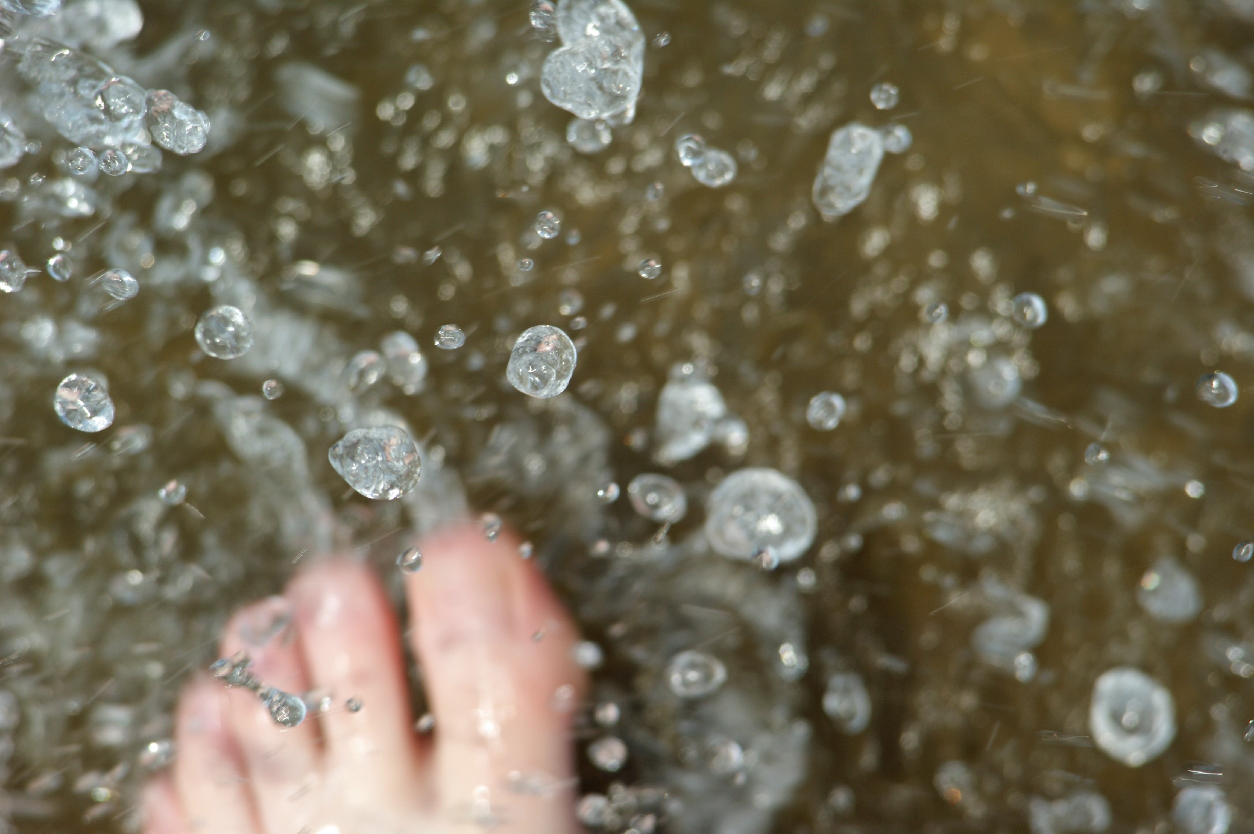 FB 2508 – Webinar: Wasser als natürliche Ressource und Lebensraum – in der Gegenwart und in der Zukunft